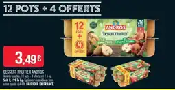 Match DESSERT FRUITIER ANDROS offre