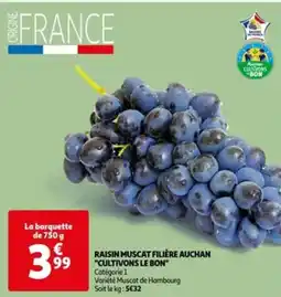 Auchan RAISIN MUSCAT FILIÈRE AUCHAN "CULTIVONS LE BON" offre