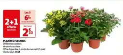PLANTES FLEURIES
