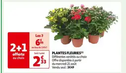 Auchan Supermarché PLANTES FLEURIES offre