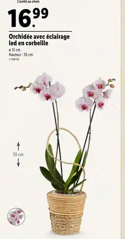Lidl Orchidée avec éclairage led en corbeille offre