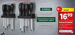 Lidl Tournevis burins offre