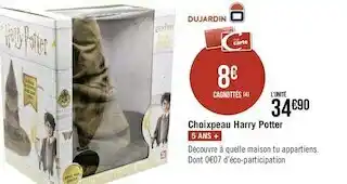 Choixpeau harry potter