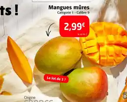 Colruyt Mangues mûres offre