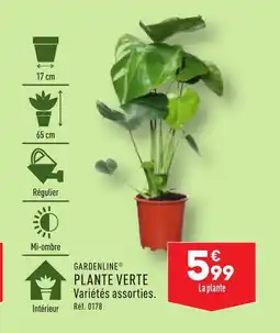 ALDI PLANTE VERTE offre