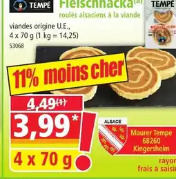 Norma TEMPE Fleischnacka offre