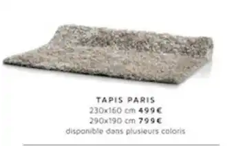 Tapis Paris