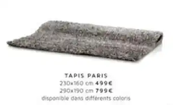 Tapis Paris