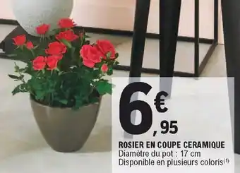 E.Leclerc Rosier En Coupe Ceramique offre