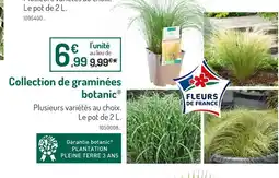 Botanic botanic Collection de graminées offre