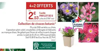 Botanic botanic Collection de vivaces offre