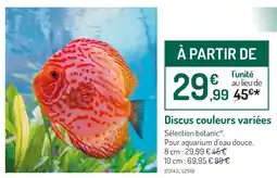 Botanic Discus couleurs variées offre