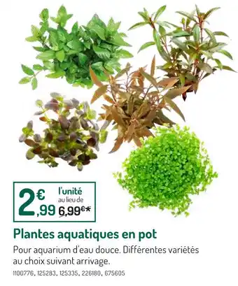 Botanic Plantes aquatiques en pot offre