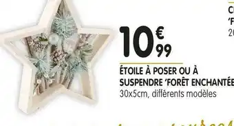 Étoile à poser ou à suspendre ‘forêt enchantée’