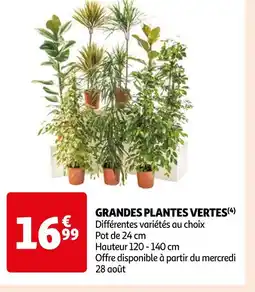 Auchan Supermarché GRANDES PLANTES VERTES offre