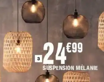 La Foir'Fouille Suspension mélanie offre