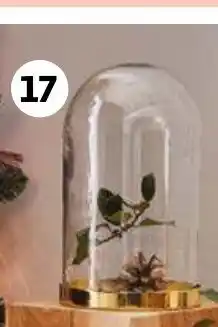 Auchan Cloche En Verre offre