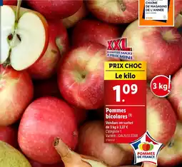 Lidl Pommes bicolores offre