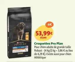 Maxi Zoo Pro Plan Croquettes offre