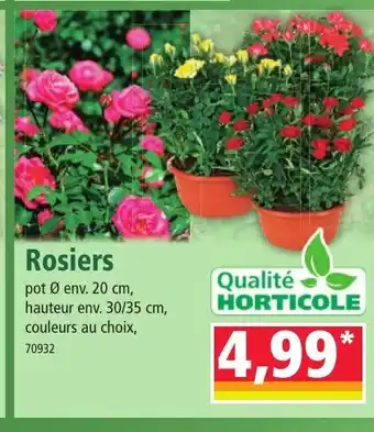 Norma Rosiers offre