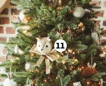 Auchan Pic tête de renard offre