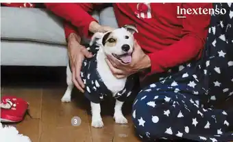 Auchan In extenso pyjama pour chien offre