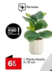 Carrefour Market Dim - belli - récupérateur à eau décoratifs offre