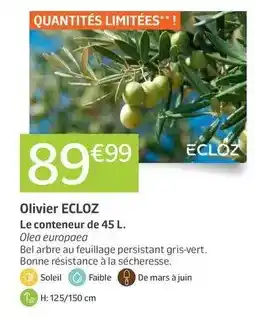 Conforama Moulinex - robot pâtissier offre
