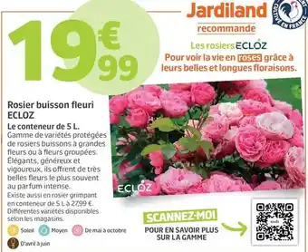 Conforama Bissell - détacheur offre