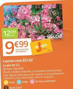 Conforama Rowenta - aspirateur balai offre