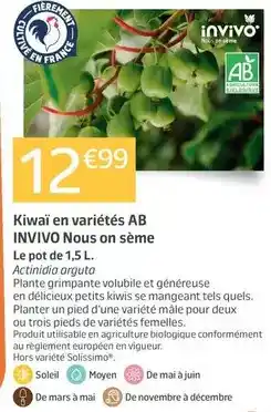 Conforama Dyson - aspirateur sans sac offre