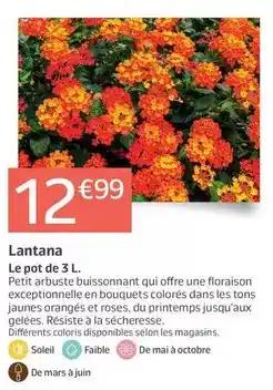 Conforama Samsung - aspirateur balai offre