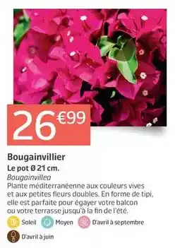 Cora x Carrefour Vanish - poudre détachante oxi action crystal blanc offre