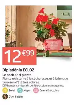 Cora x Carrefour Ariel - lessive capsules original 3en 1 pods offre