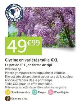 Cora x Carrefour Head & shoulders - shampooing 281 antipelliculaire classic offre
