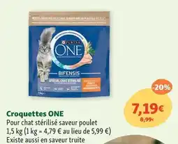 Maxi Zoo Purina - one croquettes offre