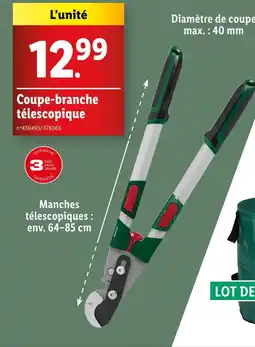 Lidl Coupe-branche télescopique offre