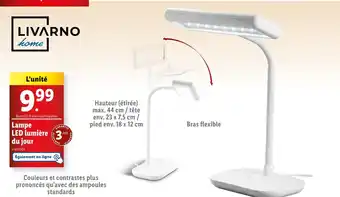 Lidl LIVARNO home Lampe LED lumière du jour offre