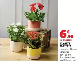 Monoprix Lot de 2 torchons offre