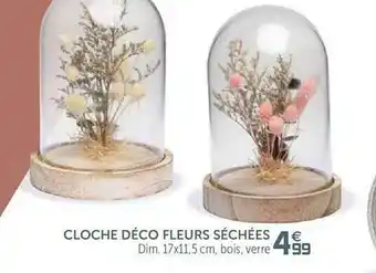 Gifi Cloche Déco Fleurs Séchées offre