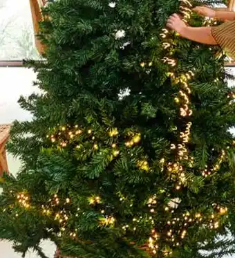 Casa Guirlande Lumineuse Avec 448 Leds offre