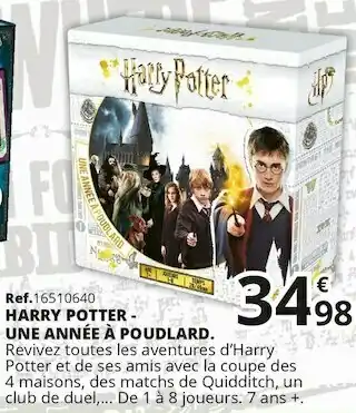 Harry potter une année à poudlard.