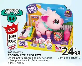 Little live pets cochon