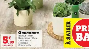 Carrefour Père dodu - pane de poulet spécial burger offre