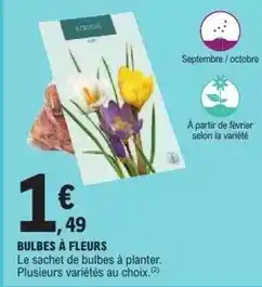 Carrefour Dim - collant sublim voile brillant offre