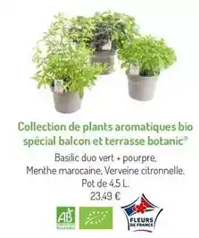 Intermarché Pampers - couches harmonie t3 x42 offre