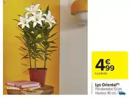 Lidl Nescafé - farmés origins offre