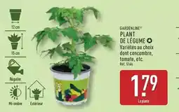 Conforama Samsung - téléviseur uhd connecté offre