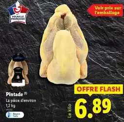 Brico Dépôt Dim - isolant réflecteur thermo thermocouper bulles +20% offert offre