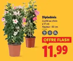 E.Leclerc Soutien-gorge avec armatures offre